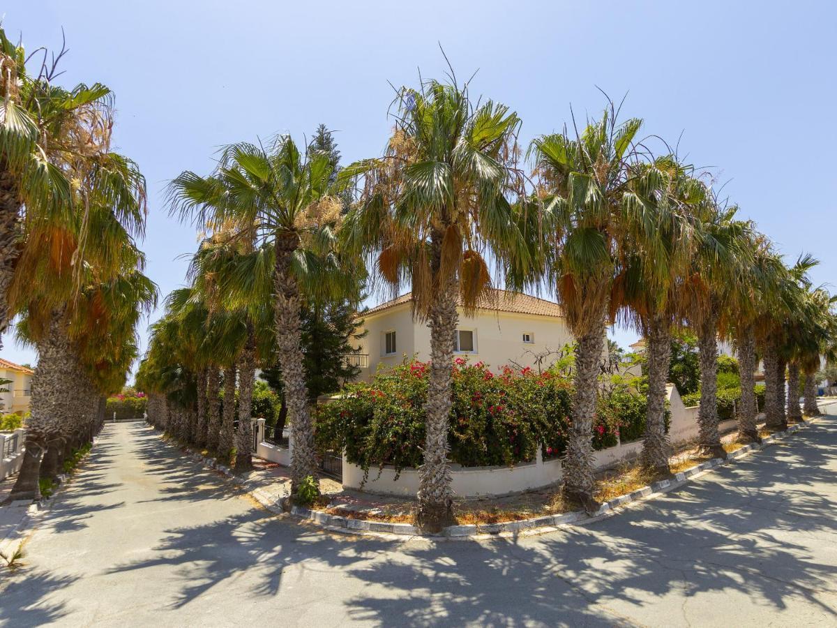 Meneou Seaside Mansion 7 Villa Larnaca Dış mekan fotoğraf
